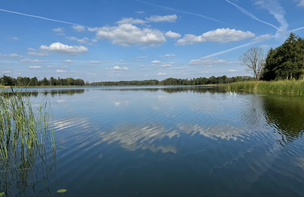 AlohaCamp Stodoła nad wodą  1