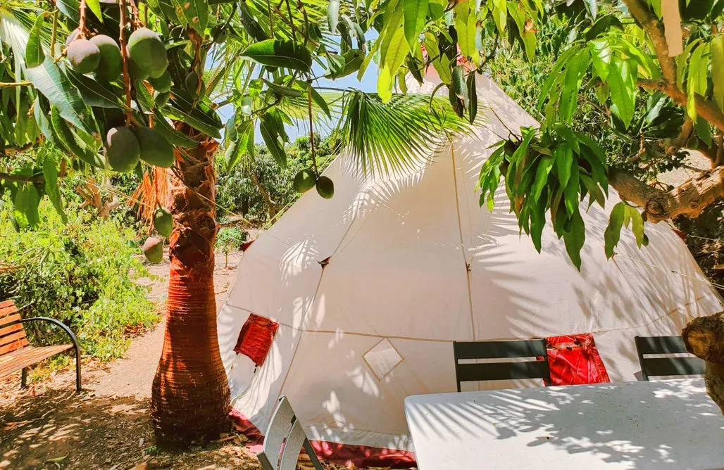 noclegi AlohaCamp BIO Glamping Gran Tipi eco tropical 2