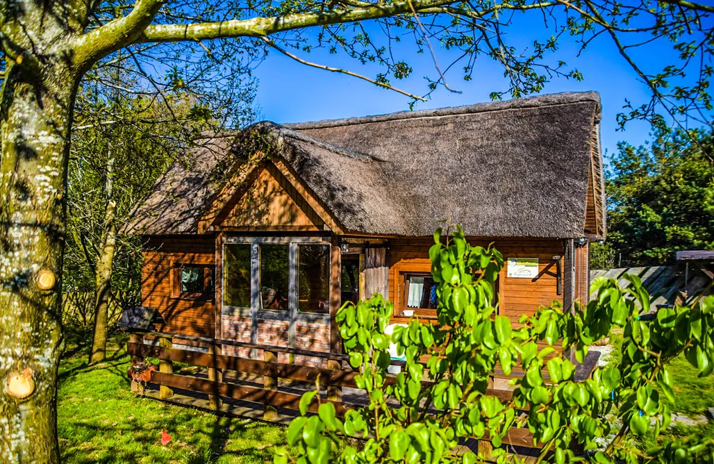 Unterkunft AlohaCamp Ptasia Osada - Dom Kwokacz 5