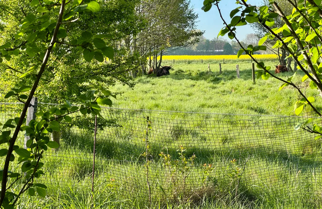 Lüttje Huus AlohaCamp