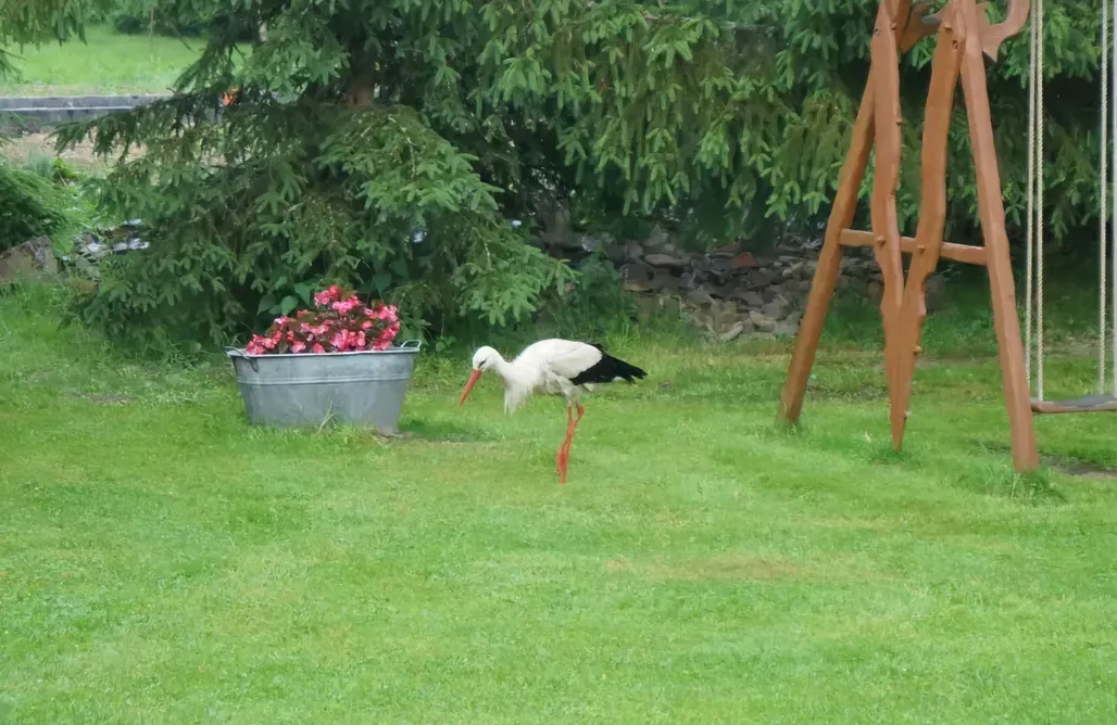 noclegi AlohaCamp Smolnikowe Klimaty - Chyżula 1