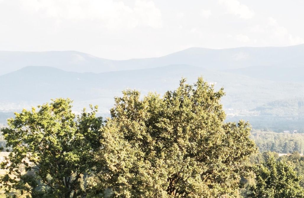 noclegi AlohaCamp Idea by Glamp 1