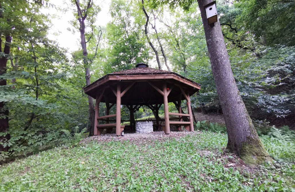 AlohaCamp Ekosamotnia 1