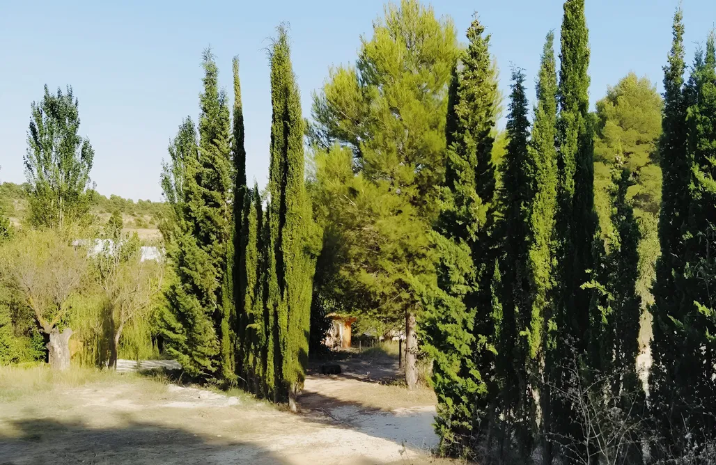 AlohaCamp Slow Life Camp - Caravana Vintage 1