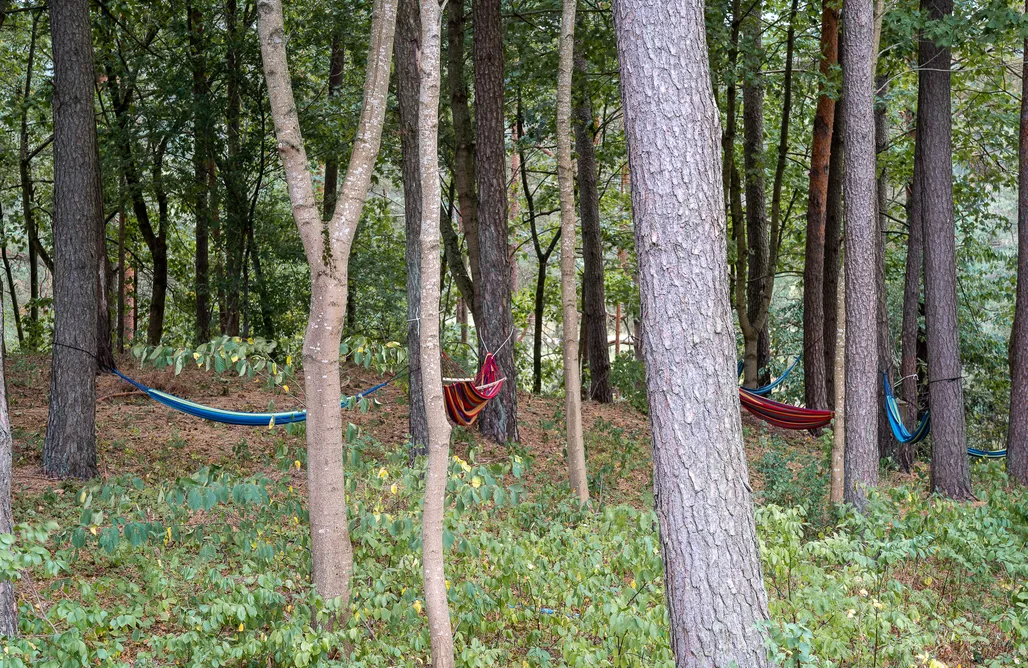 Podwołkuszne noclegi Polana Gawrycha - domki widokowe nad jeziorem Staw 1
