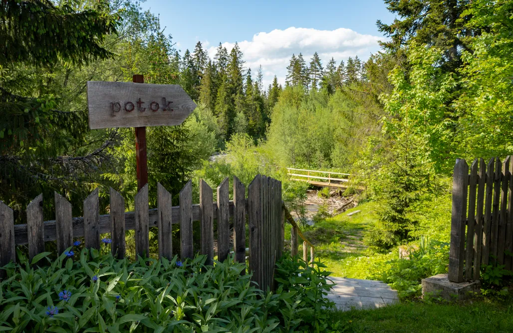 AlohaCamp Pokój nr 1 1