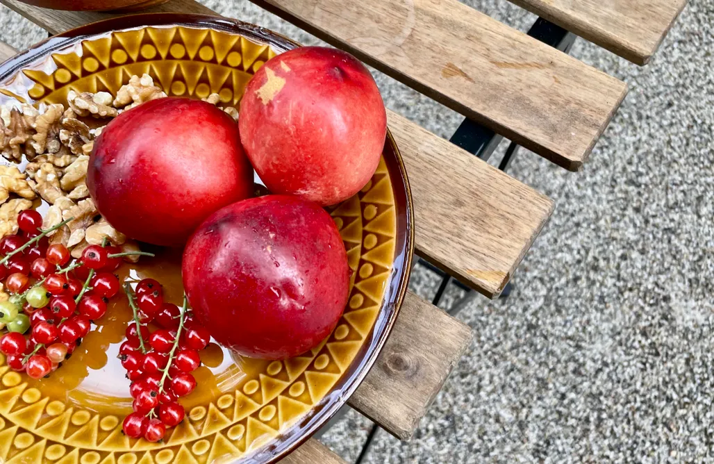 AlohaCamp Dom letni przy starej jabłoni 1