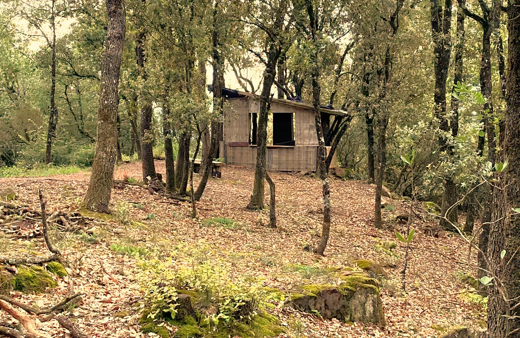 AlohaCamp accommodation Casa Can Carol 1