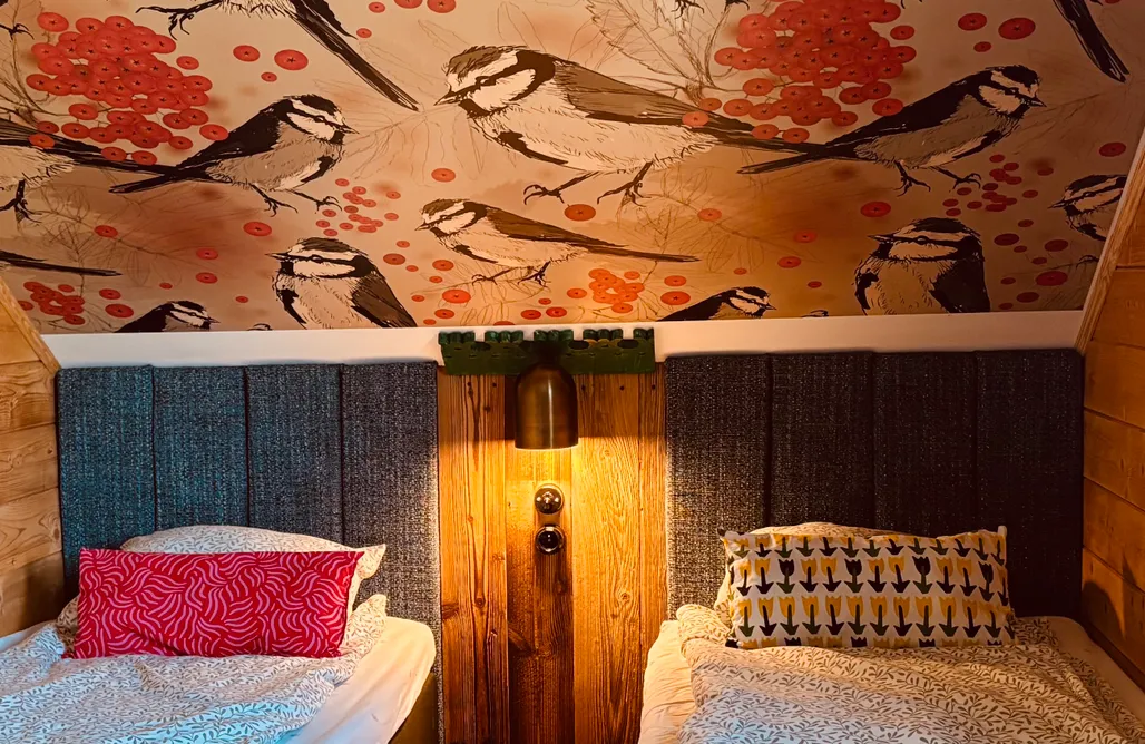 AlohaCamp Dla mnie się podoba 4