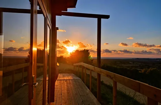 Imagen de Petirrojo Romero