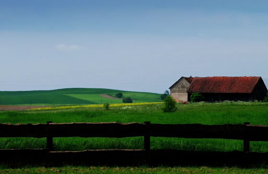 AlohaCamp Dom pod Skrzydłami 1