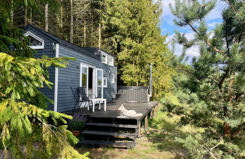 noclegi AlohaCamp Leśne Siedlisko Wygonin  5