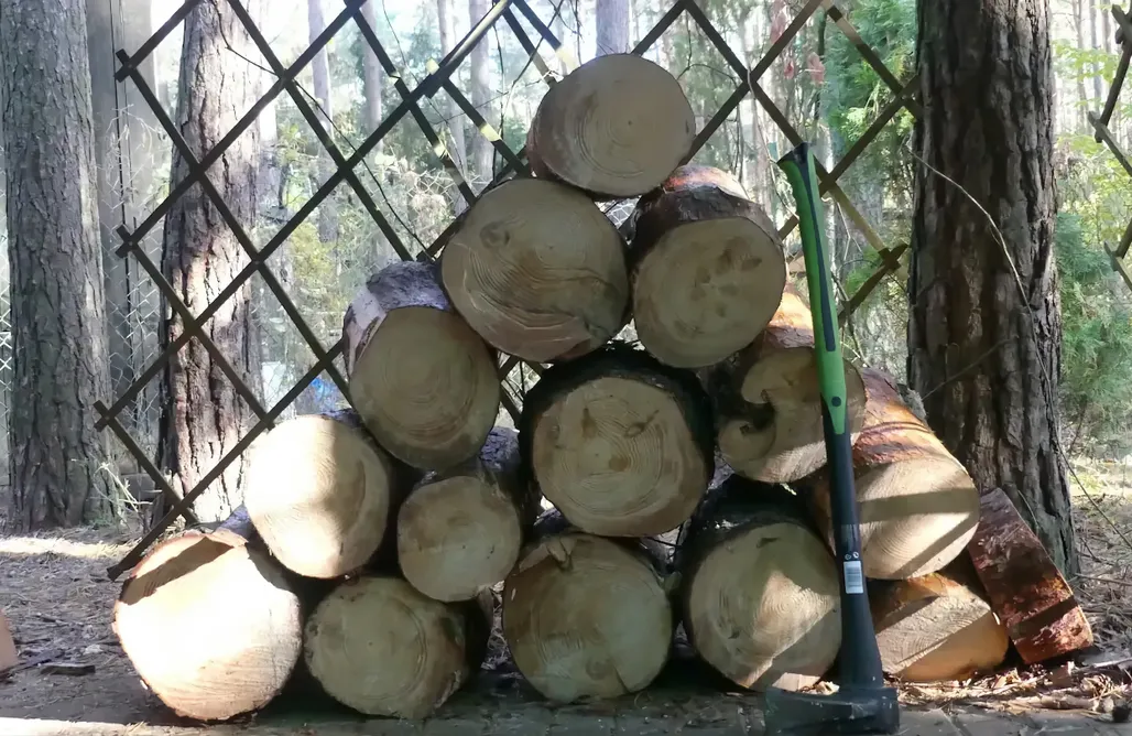 noclegi AlohaCamp Przytulny domek w lesie blisko rzeki 1