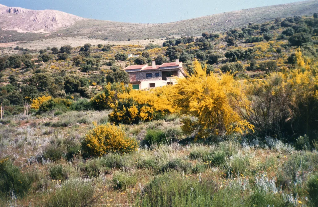 AlohaCamp accommodation El Centenal 2