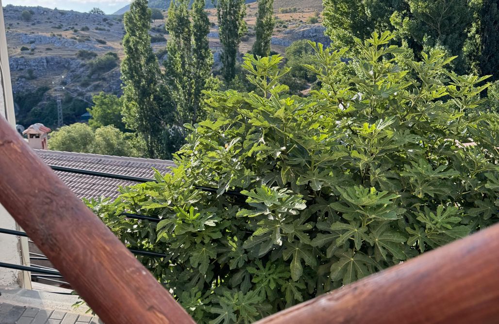 alojamientos AlohaCamp El Nido del Segura 3