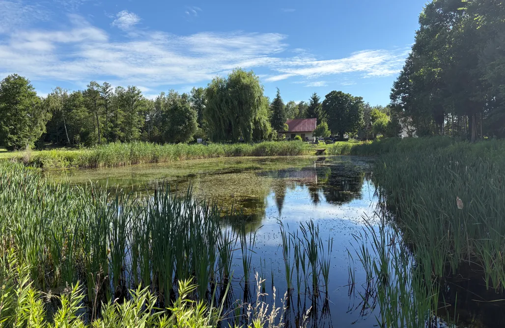 Farma Leśna AlohaCamp