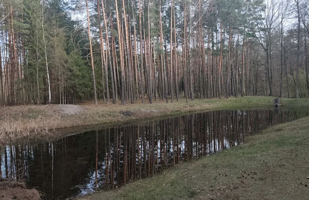 Zarzecze noclegi Domek - Zacisze Leśne 1