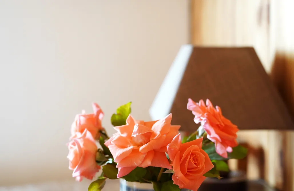 Urlaub auf dem Bauernhof Olęderska Zagroda Pracownia Boruja 1