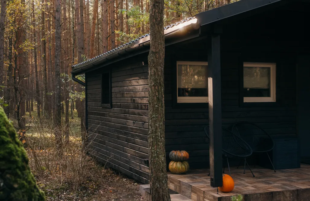 Agroturystyka Wielkopolska z wyżywieniem Dom w środku lasu  3