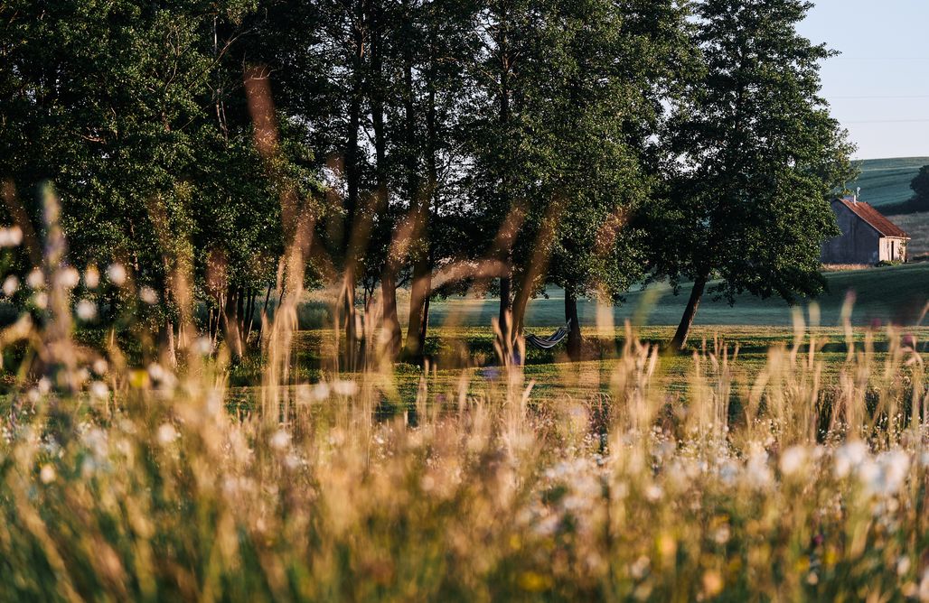 Dolina Jurt Glamping Giżycko AlohaCamp