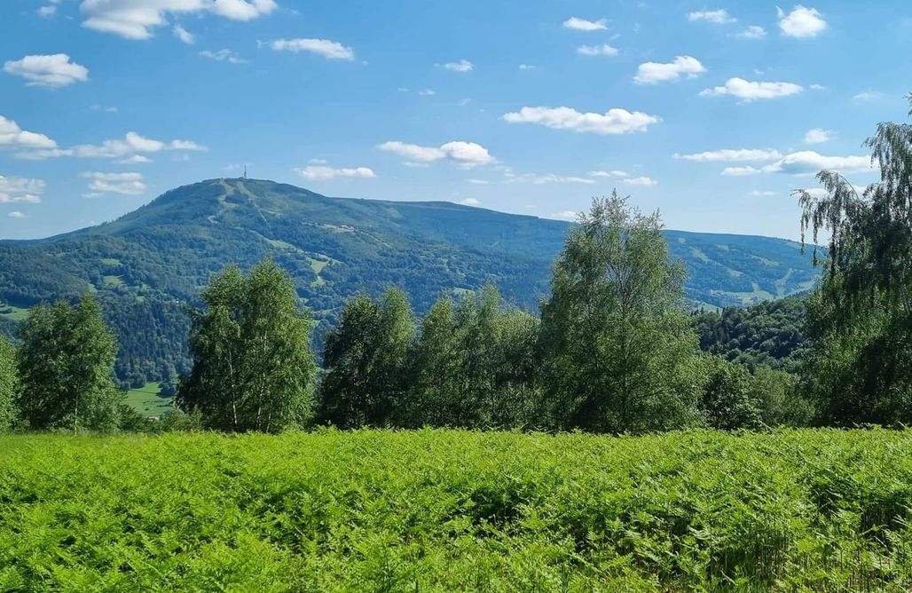 noclegi AlohaCamp Chałpa na skarpie 5