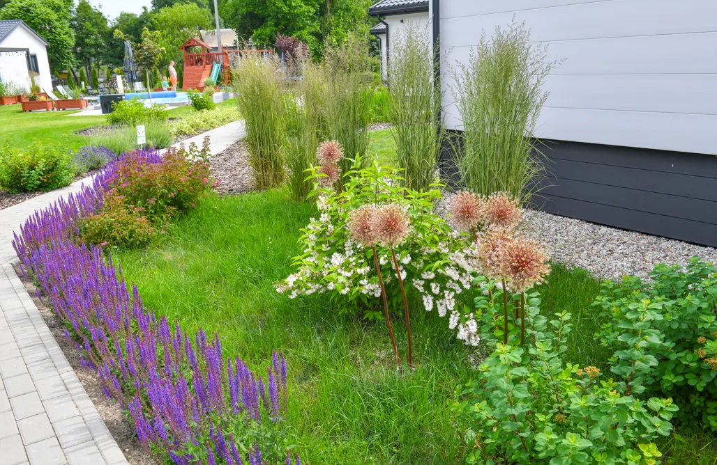 Andrzejewo noclegi Barszczówka 1