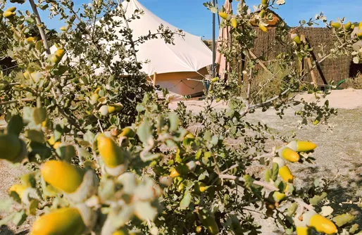 Zdjęcie obiektu Unalome Glamping