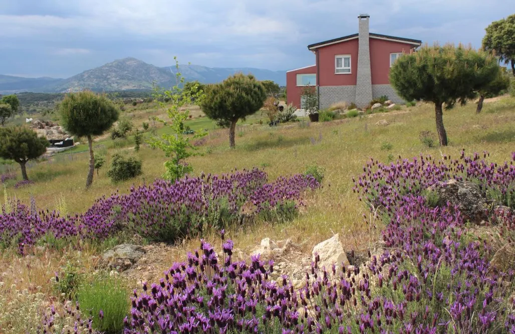 Bungalows en Madrid Finca El Enebro 3