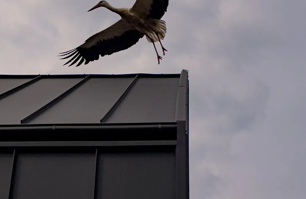 Unterkunft AlohaCamp Domki Kwiatowe N0.5 1