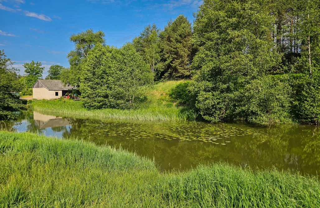 AlohaCamp Dom pod Klonem 1