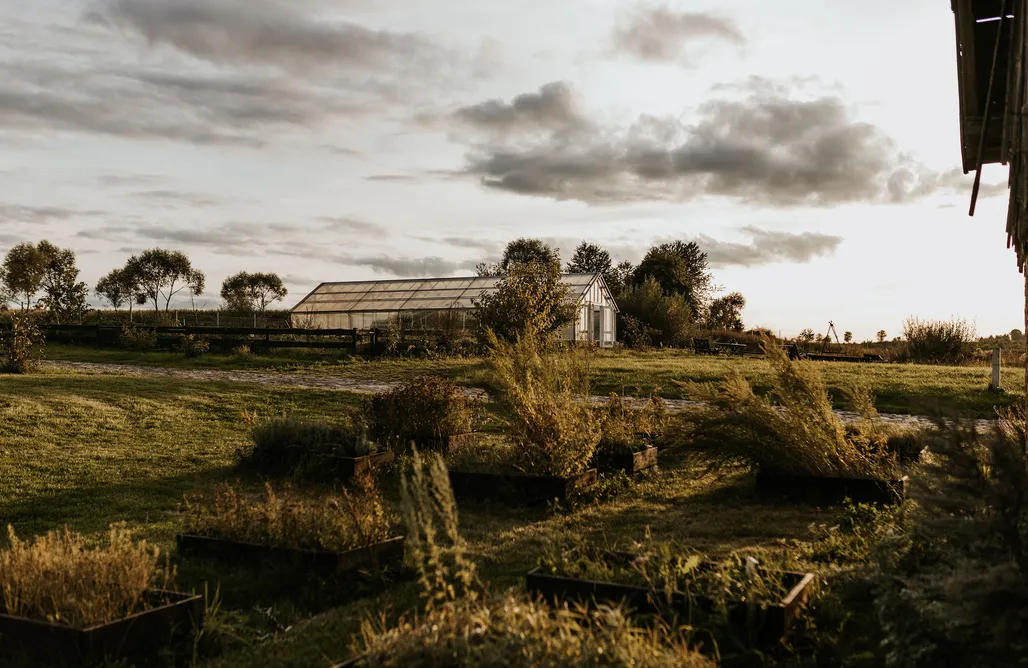 AlohaCamp Pokój 2os z łóżkiem małżeńskim 1