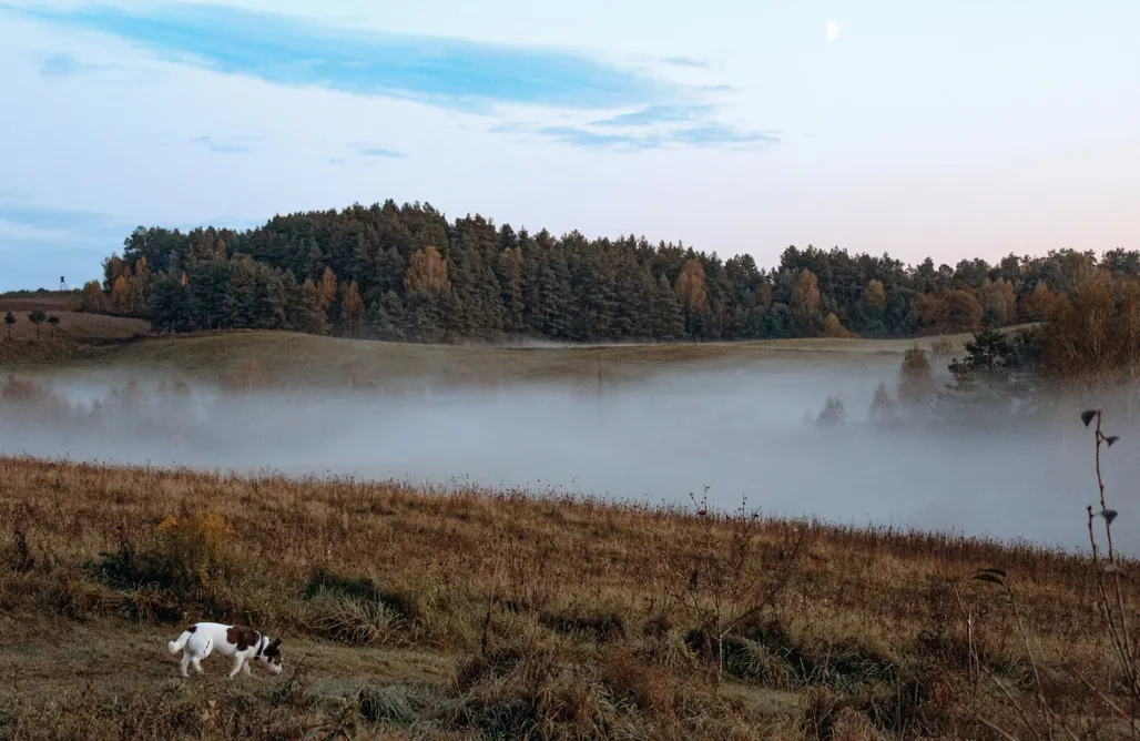 Noclegi Ostróda ⛵️ Łan Sztuk / chatka 1