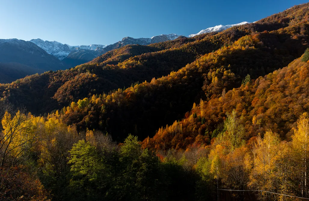 AlohaCamp Camera doppia con vista montagna 1
