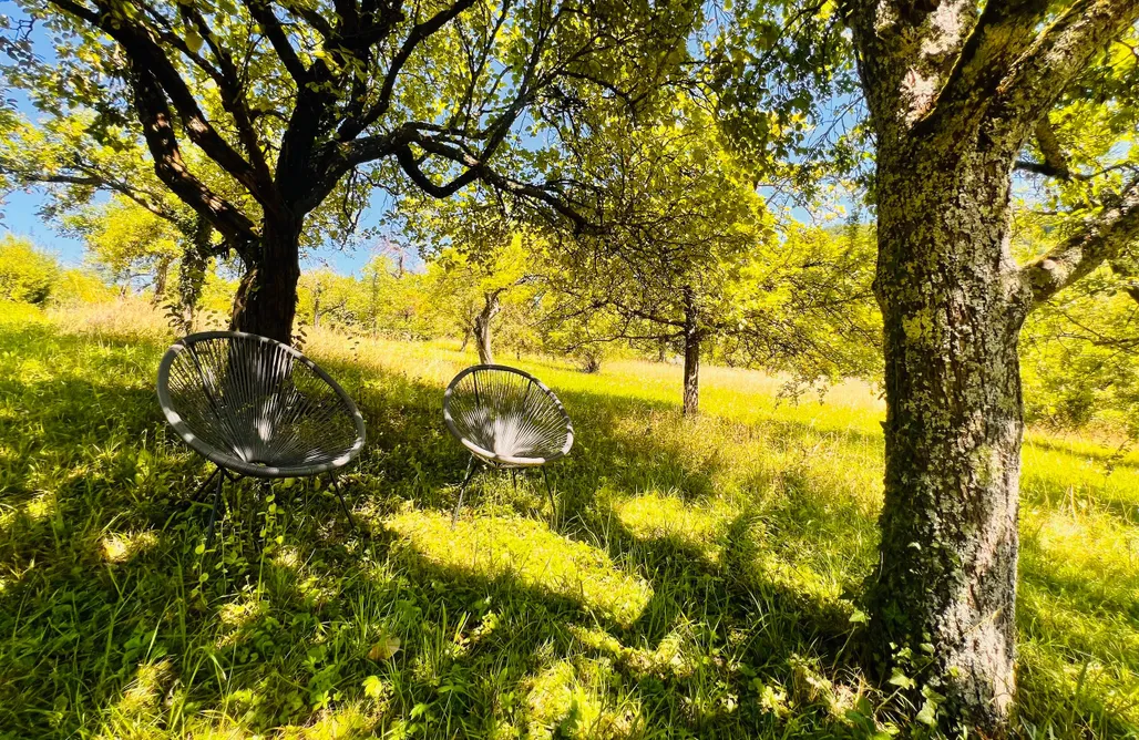 Magisches Bubble-Tent im Auenwald AlohaCamp