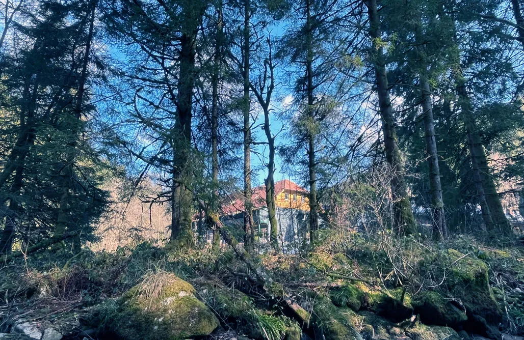 Unterkunft AlohaCamp Somewhere Elz - Luxus Chalet 1