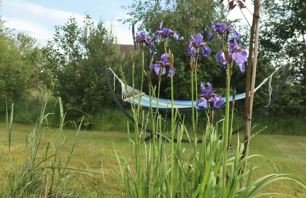 Domki Władysławowo 🌊 Szarga 3