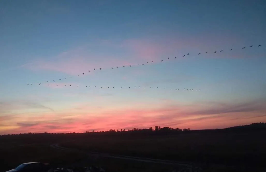 noclegi AlohaCamp Miejsce kamperowe - Stajnia "Koń Polny" 3