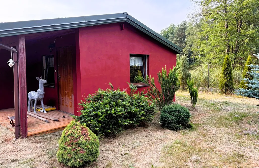 AlohaCamp accommodation Burgundy Corner on the Edge of Bolimów Forest 3