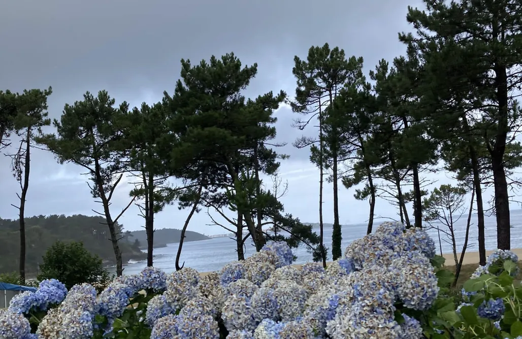 AlohaCamp accommodation Casa de Leis 3