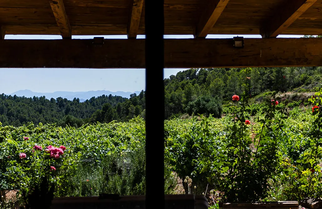 Camping Holidays Spain Sitio para caravanas y tiendas - Prior Terrae 3