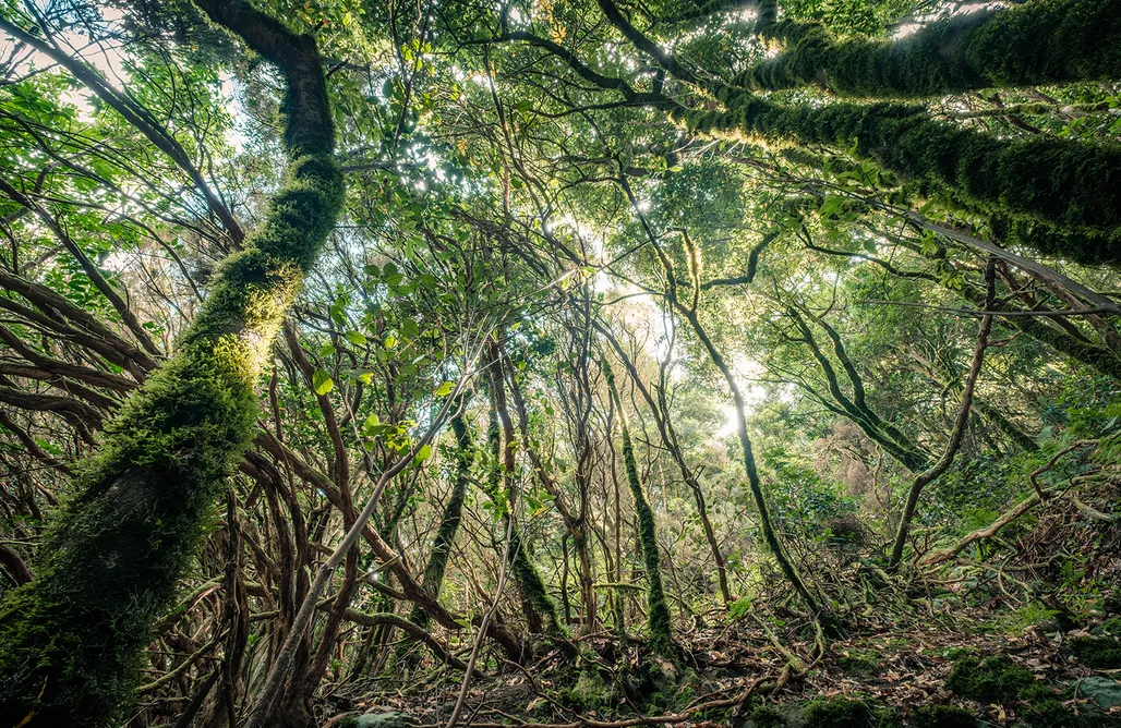 Unterkunft AlohaCamp Casita Jaretas 1