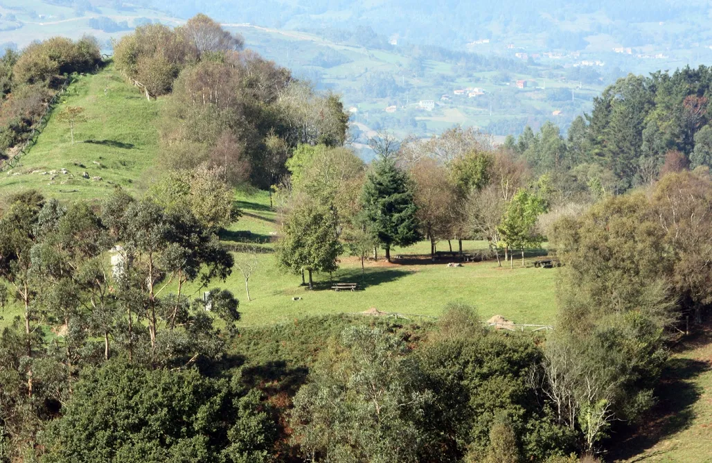 AlohaCamp Cabaña Norte 1