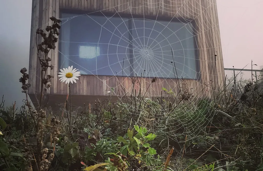 alojamientos AlohaCamp Domek u Gai 1