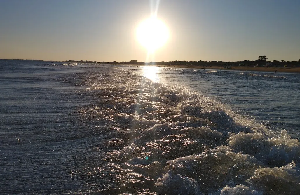 alojamientos AlohaCamp Cocoon Tree Bed - Playa Taray 1