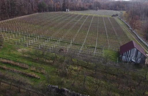 Zdjęcie obiektu Miejsce kamperowe - Winnica Rajska