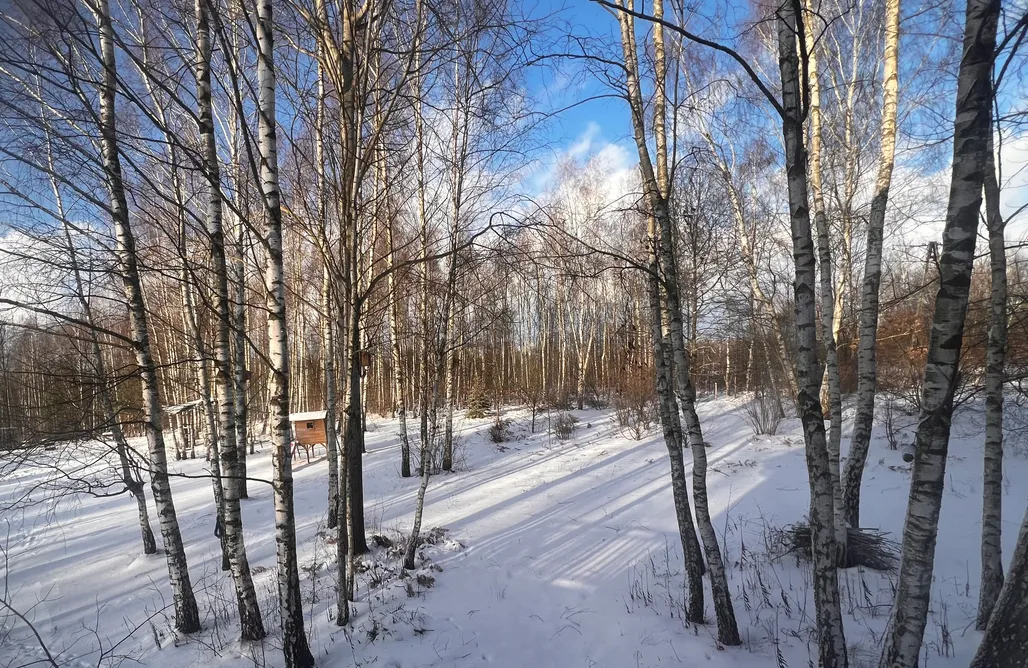 noclegi AlohaCamp 1ha prywatności - Dom na Górce Wśród Brzóz 5