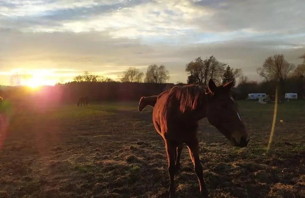 Pole namiotowe Kaszuby Miejsce kamperowe - Rancho Klama 2