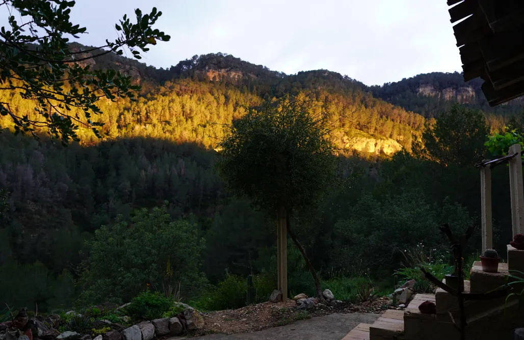 AlohaCamp accommodation Sitio para autocaravanas y tiendas: Las Selvas 5