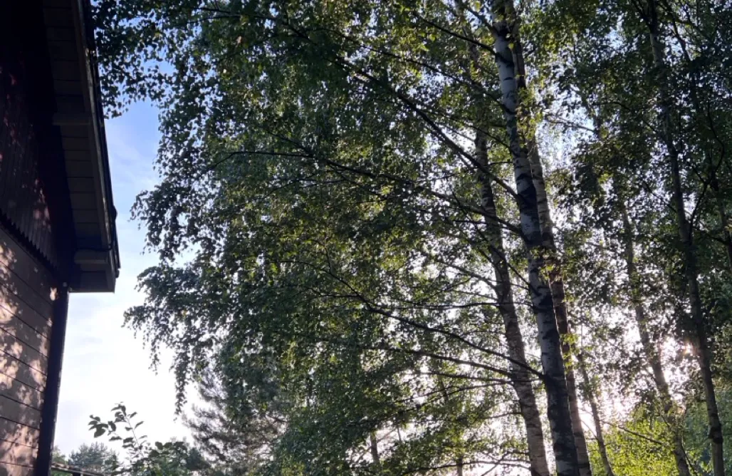 AlohaCamp accommodation 1ha prywatności - Dom Wśród Brzóz 1