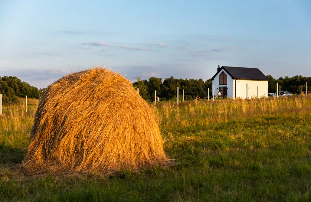 Gospodarstwo Agroturystyczne Borówkowy Bukiet Smaków  AlohaCamp